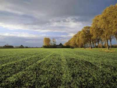 Prime 1-Acre Land for Sale in Ayany Estate, Nairobi