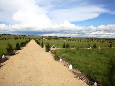Prime Land for Sale in Ngong Matasia – Ideal for Development